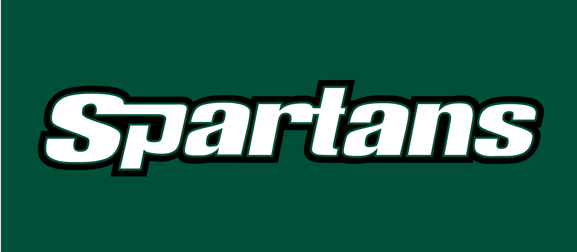 USC Upstate Spartans 2003-2010 Wordmark Logo iron on paper